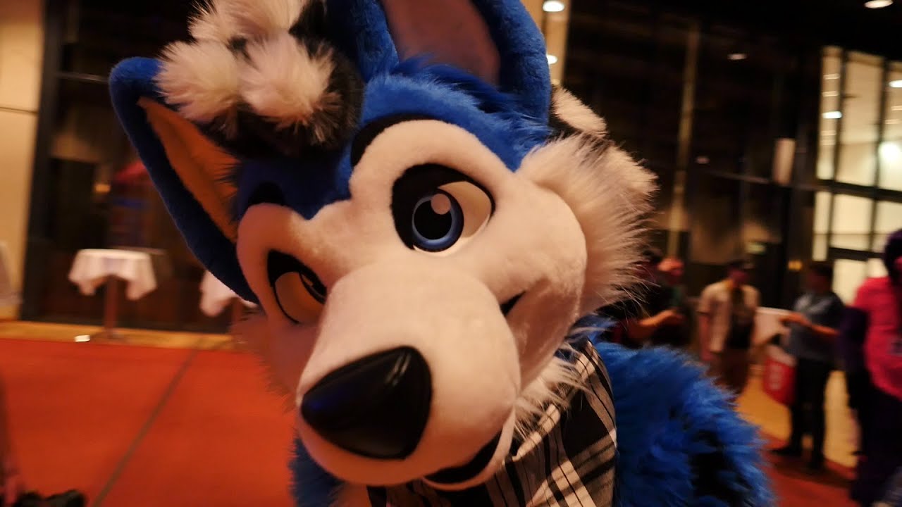 EUROFURENCE 22 OFFICIAL AFTERMOVIE by Keks