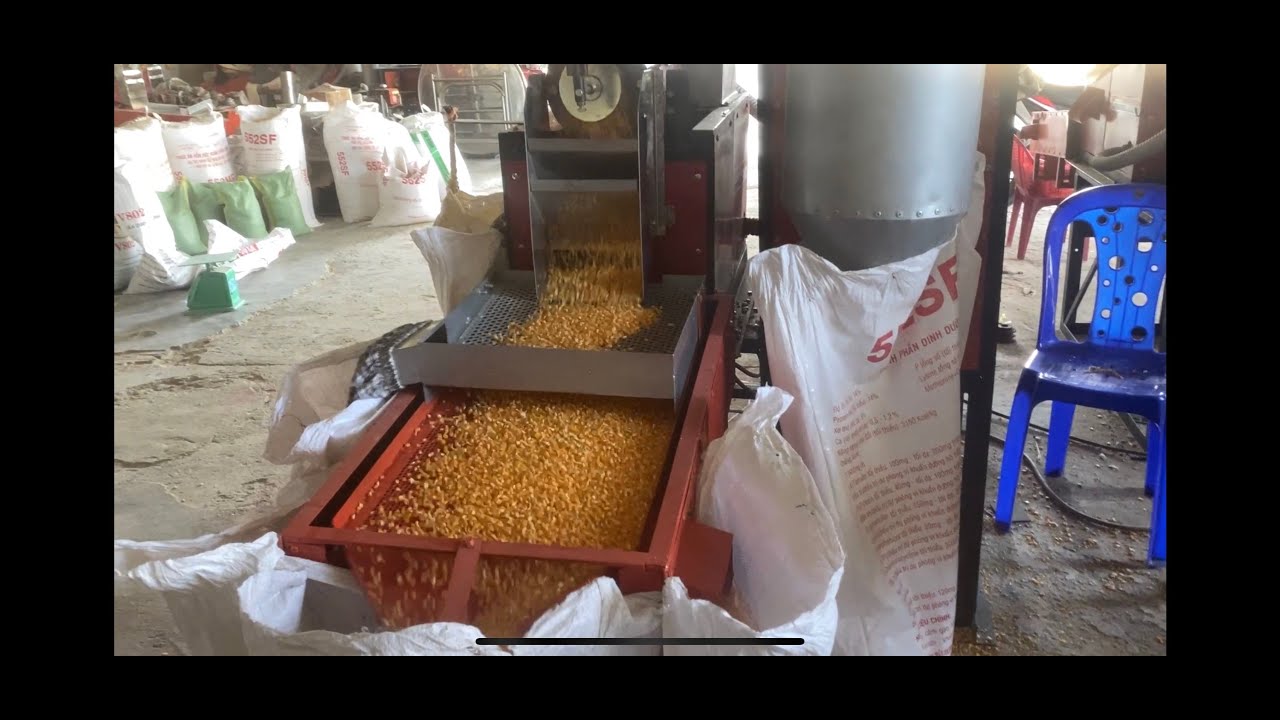BÁN MÁY XAY BẮP (NGÔ) BỂ MẢNH SIÊU SẠCH NĂNG SUẤT 1300KG/GIỜ 0983837209 - 0839450092 CƠ KHÍ NAM HẢI