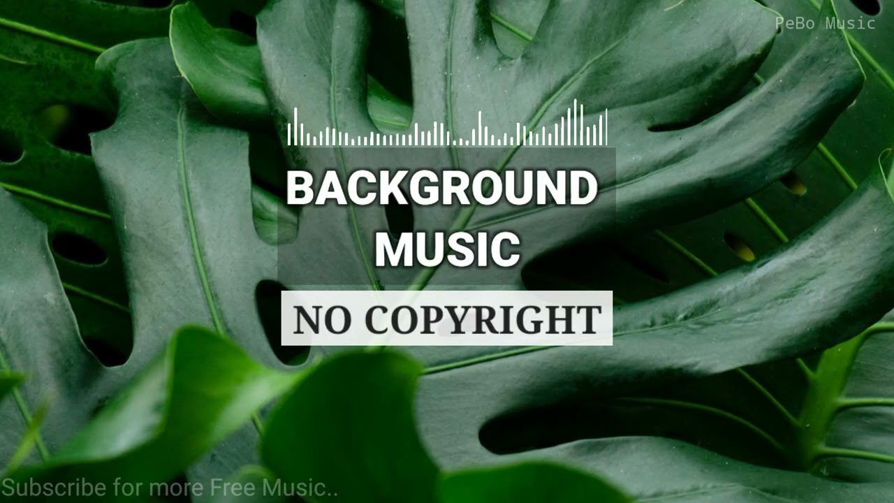 Background Music | No Copyright Chill Instrumental for Vlogs, Reels & Edits | PeBo Music