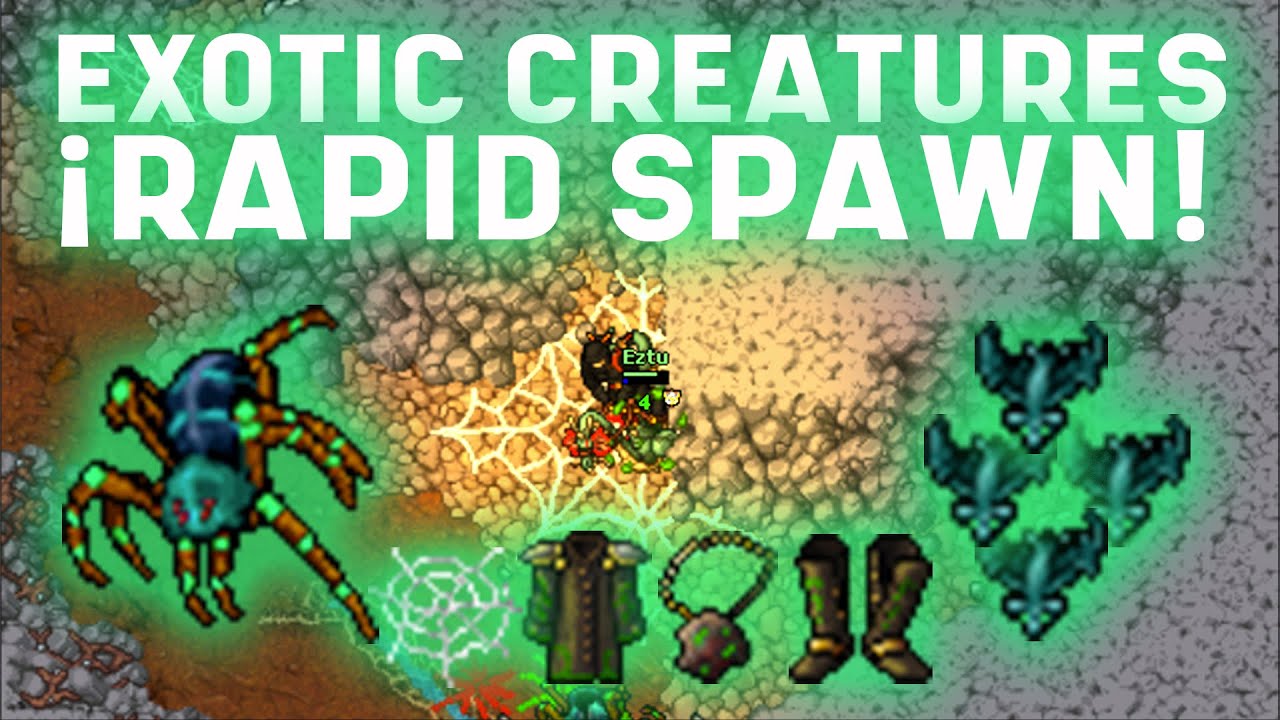 TIBIA RP LVL 310 HUNT EXOTIC CAVE SPIDER & EXOTIC BATS (CHARM POINTS)