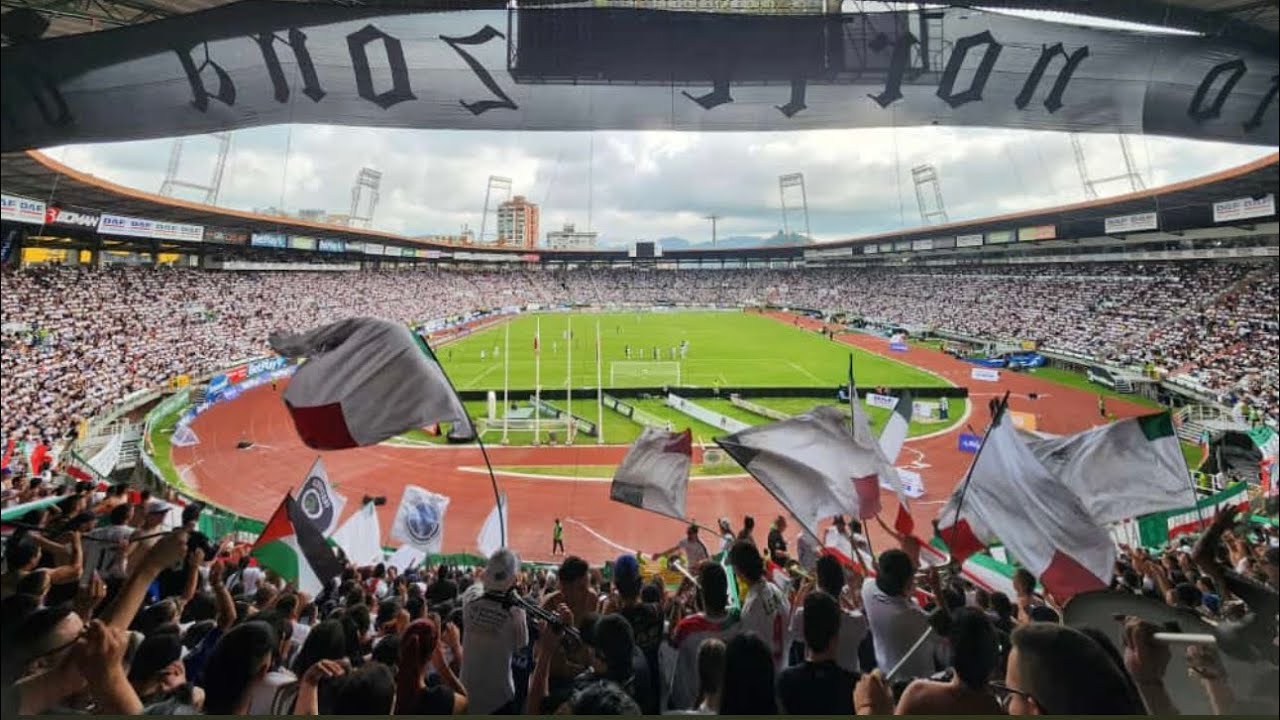 Holocausto norte vs alianza 2024