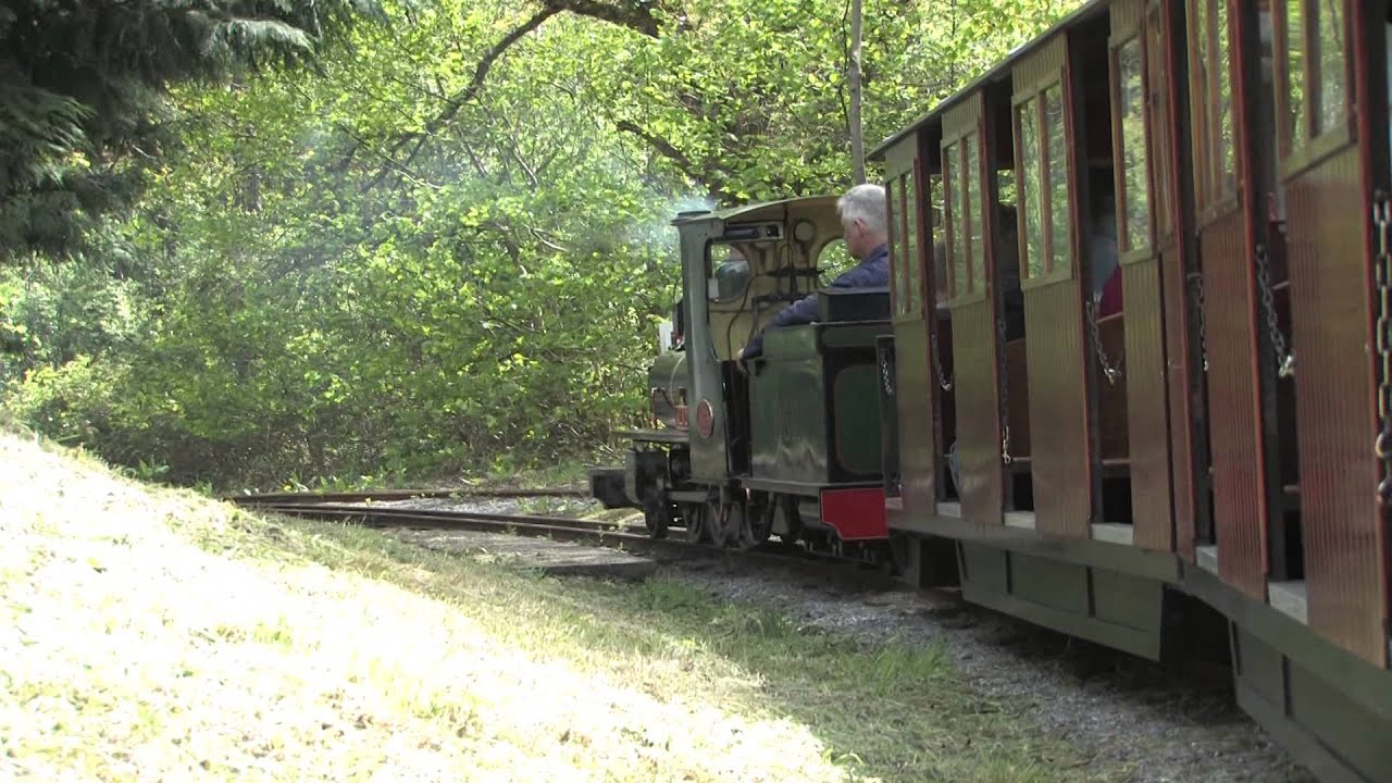 Bickington Steam Railway 2014