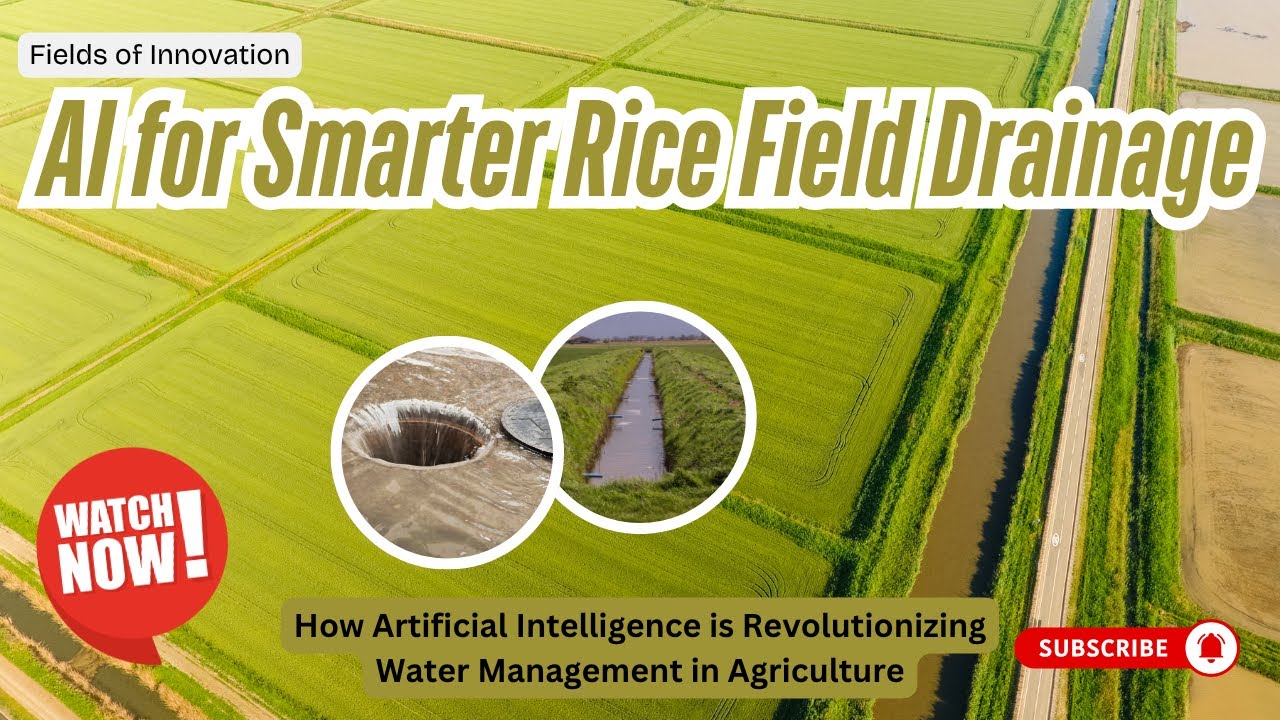107 - AI in Rice Farming: Smarter Drainage and Water Management for Higher Yields