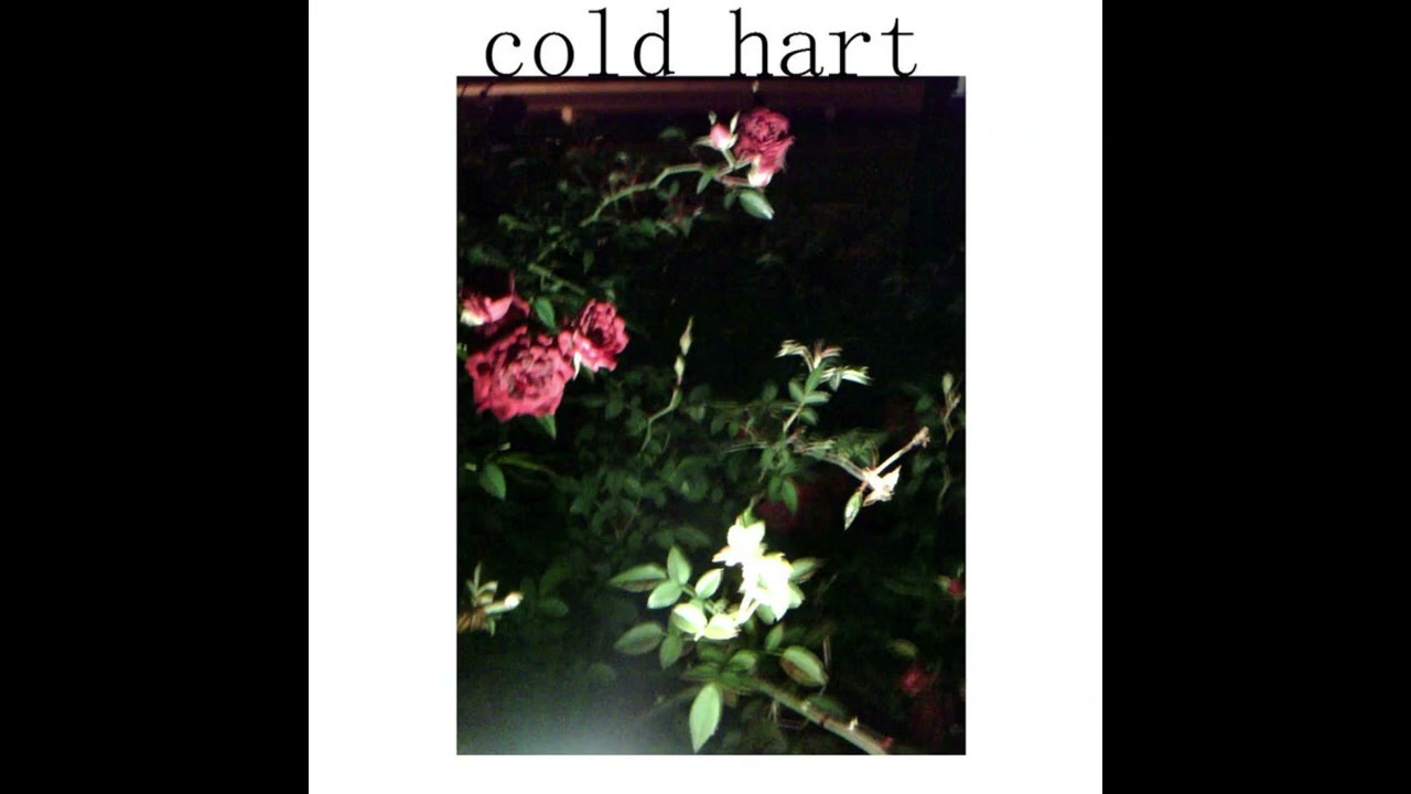 cold hart - love songs & cough suppressants [full album] [2014]