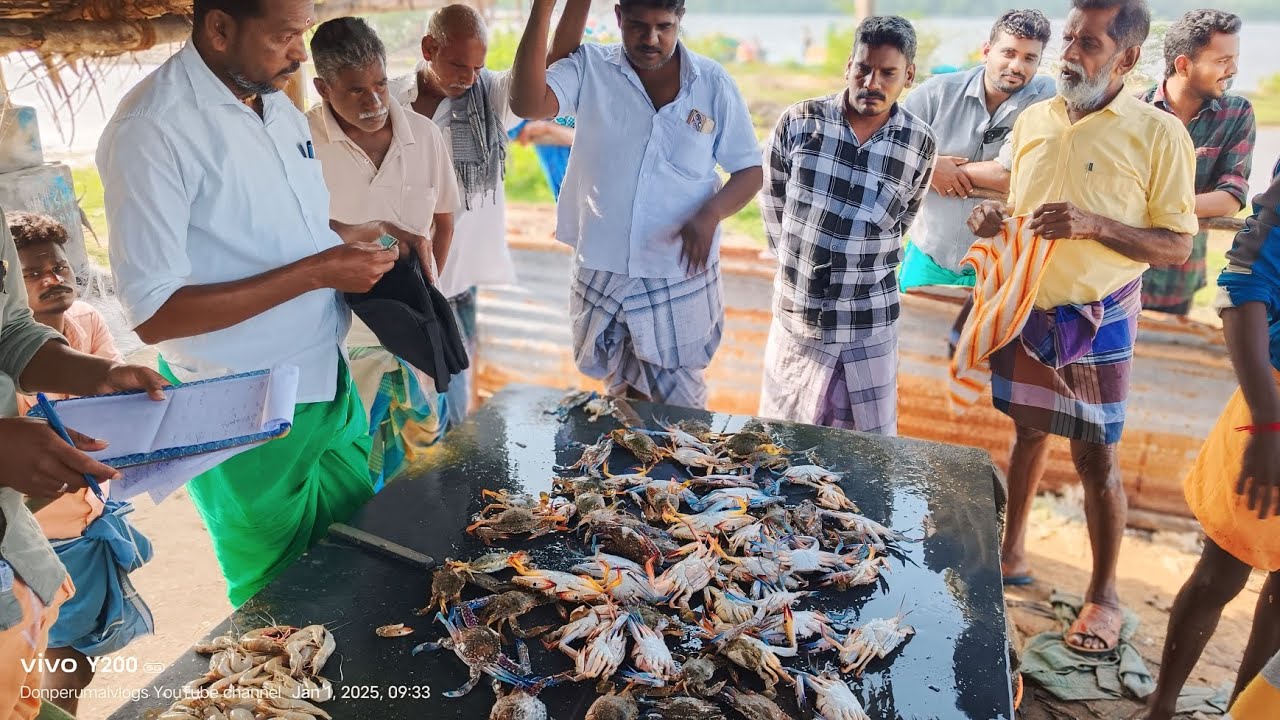 Amazing seafood auction in keelathottam beach | கீழத்தோட்டம் மீன் ,நன்டு,இறால் ஏலம்