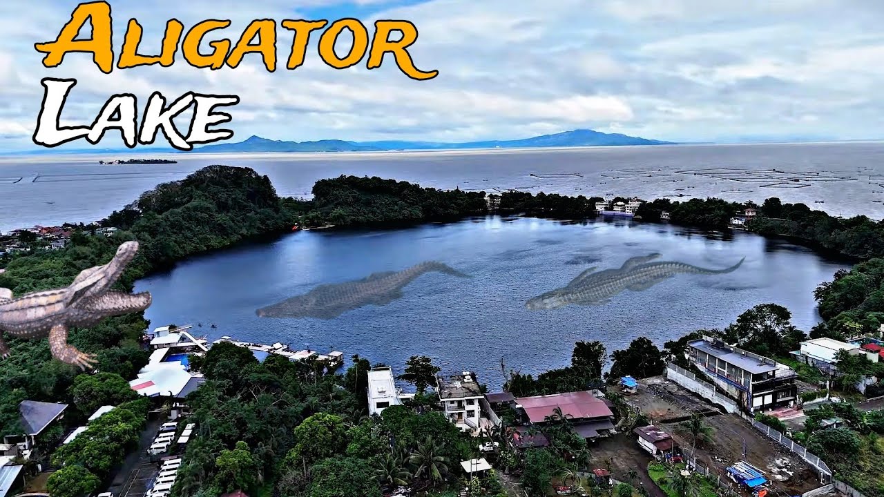 Crocodile Infested Lake in Laguna || Aligator Lake