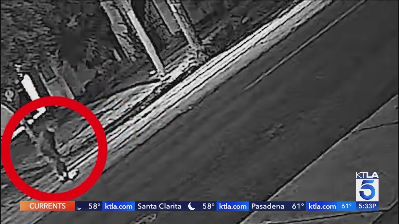 Hit-and-run kills military veteran in LA, no arrests yet