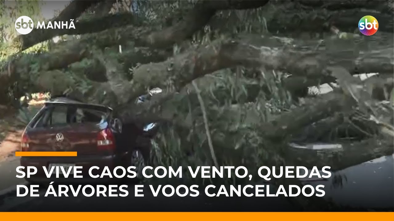 SP: Voos cancelados e quedas de &aacute;rvores sobre carros ap&oacute;s ventos de at&eacute; 100 km/h | #SBTManh&atilde;