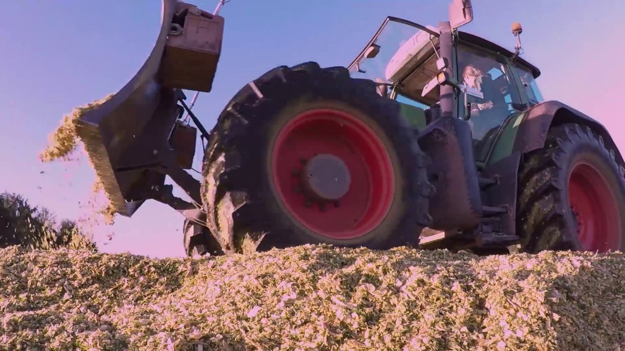 Ensilage à Kermarch