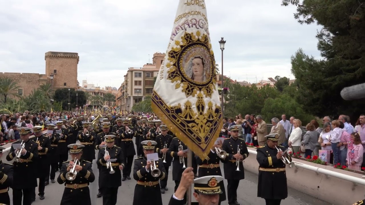 Alma De Dios | Borriquita Elche Domingo de Ramos 2025 | Amargura de Lorca