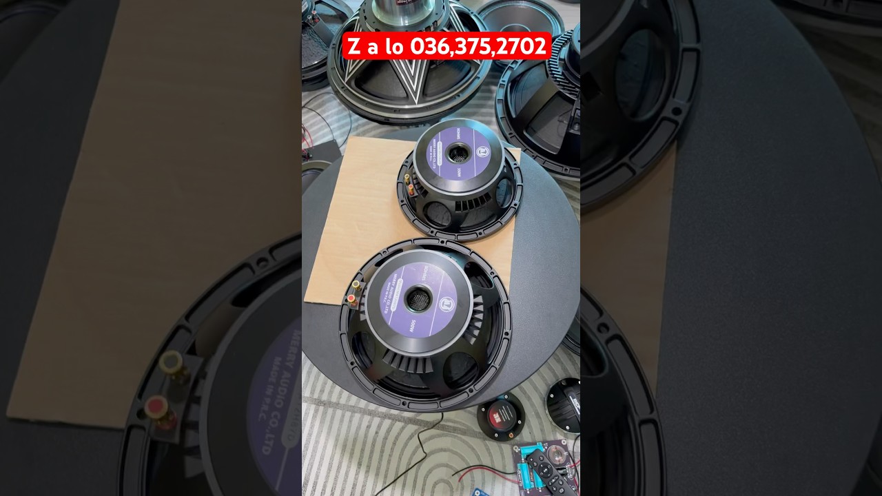 Xả loa bass 25, bass 30 merry từ 170 coil 76
