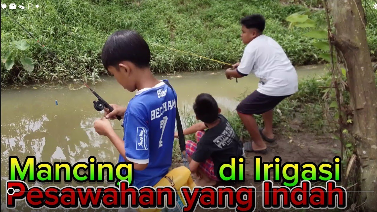 Keindahan pesawahan bikin betah.Anak2.mancing di Sawah di perkampungan tengah sawah waktu libur