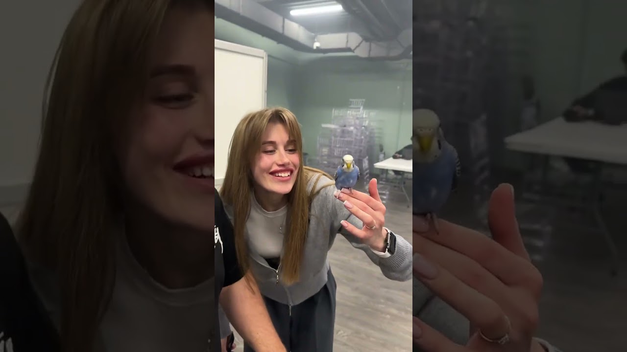 С помощью волшебства и магии 🔥