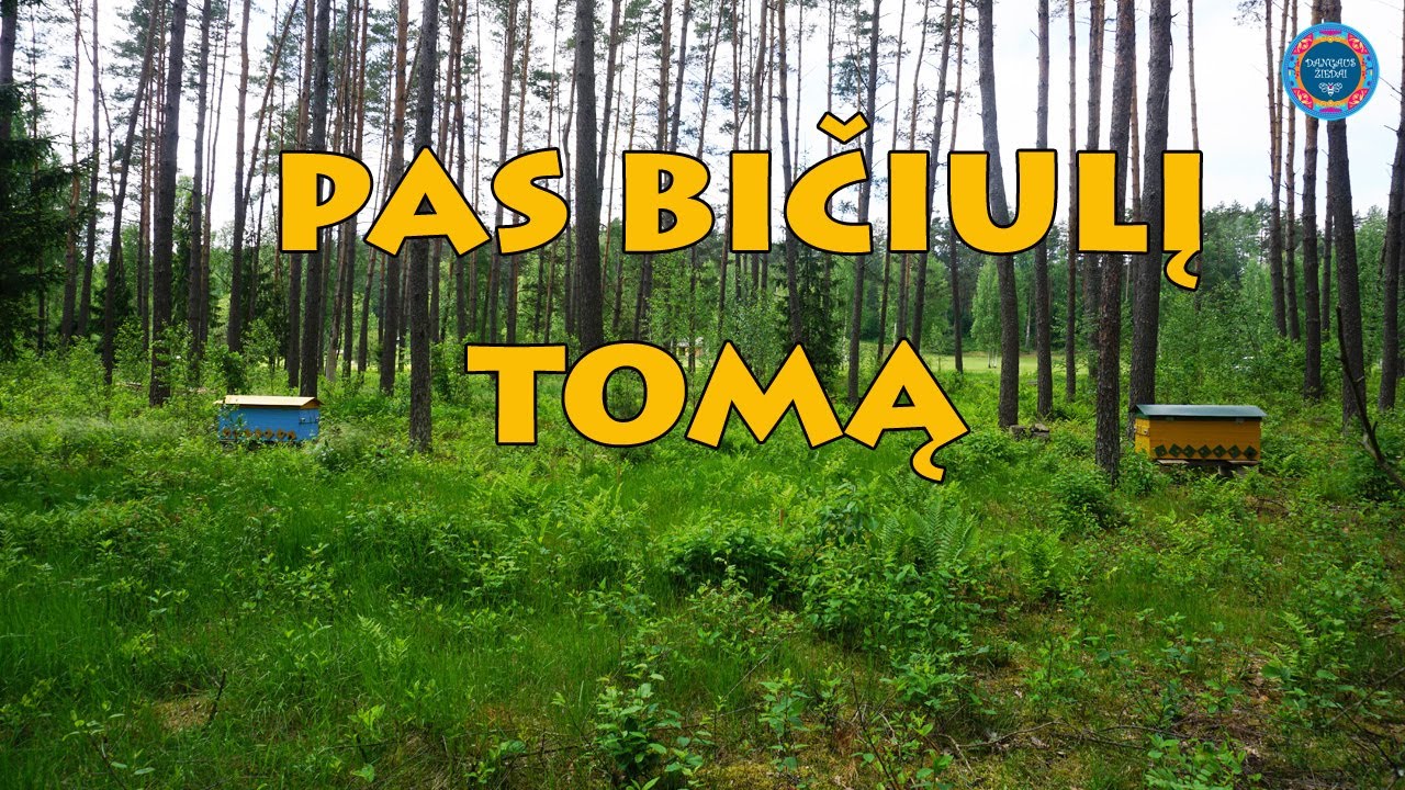 Pas bičiulį Tomą