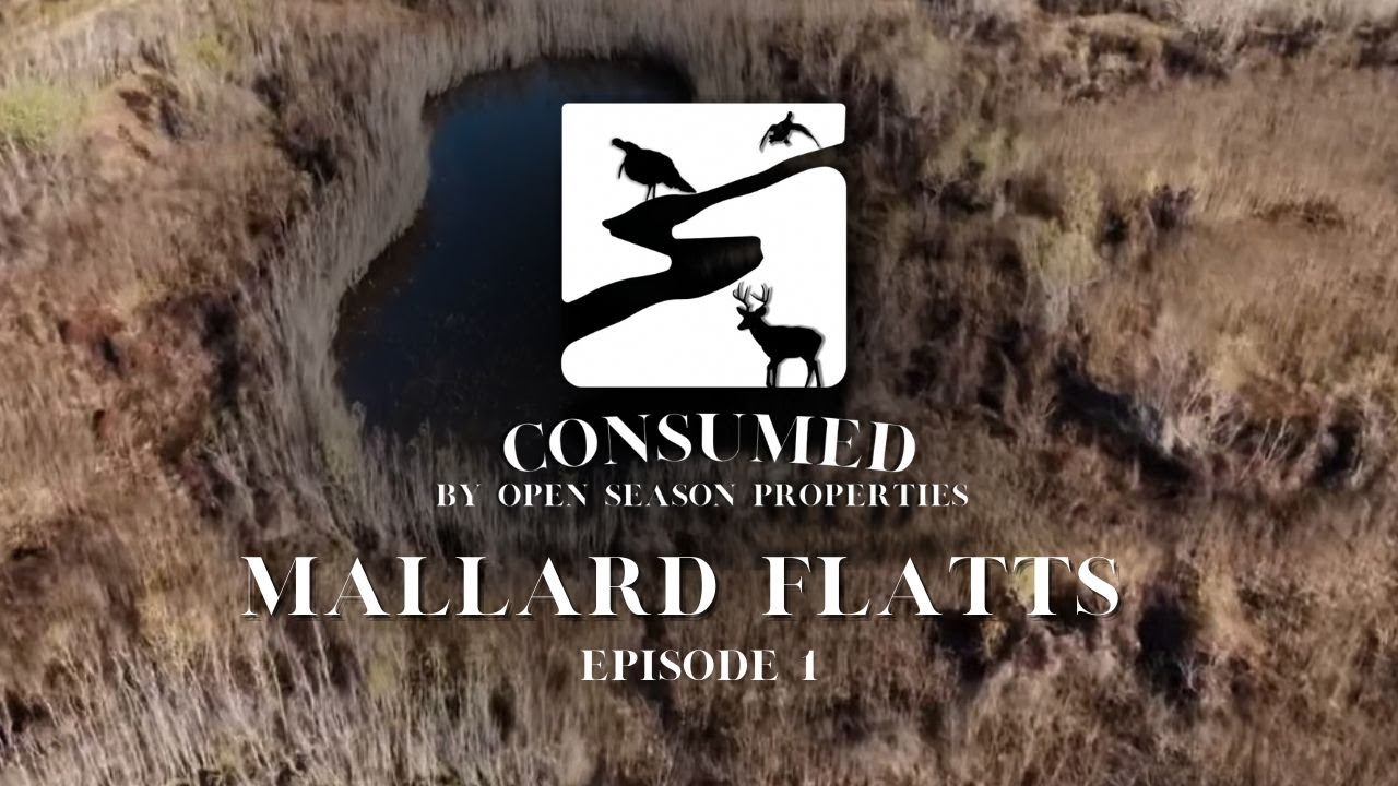 Mallard Flatts - Mississippi Delta Duck Hunting