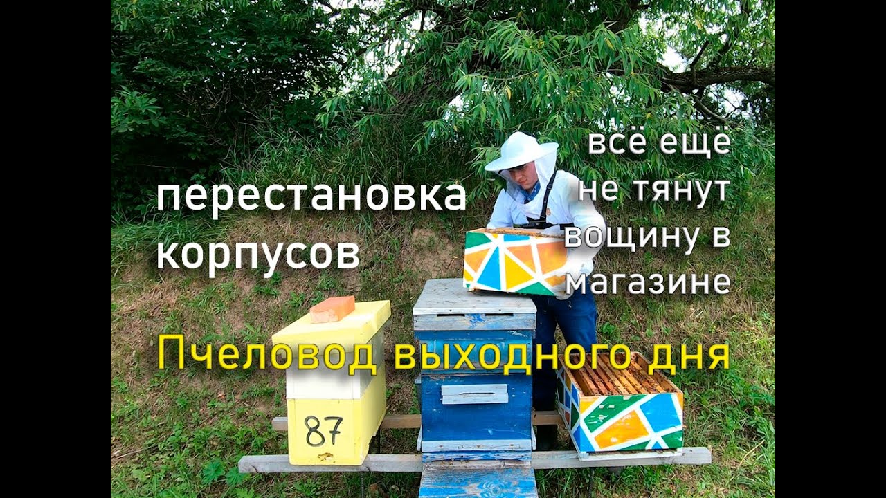Перестановка корпусов. Пчеловод выходного дня