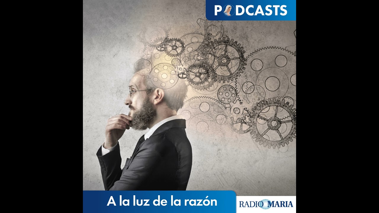 A la luz de la razón 11/02/26