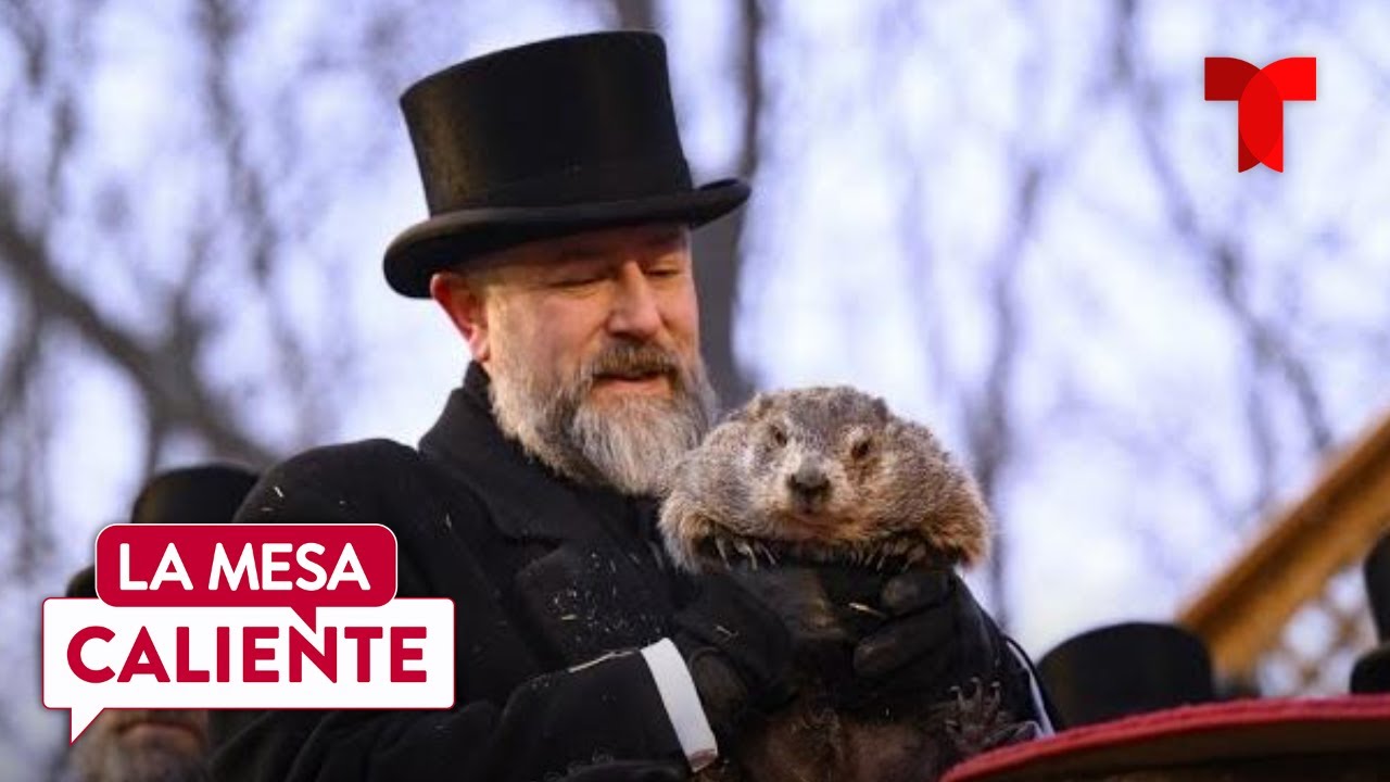 Phil 'La Marmota' predice 6 semanas más de bajas temperaturas | La Mesa Caliente
