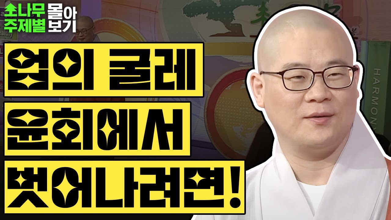 업의 굴레 윤회에서 벗어나려면!✨  [광우스님 소나무 주제별 몰아보기]
