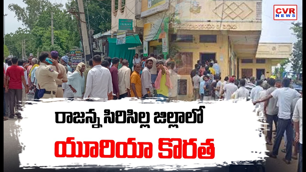 రాజన్న సిరిసిల్ల జిల్లాలో యూరియా కొరత | Urea Shortage In Rajanna Sircilla District | CVR NEWS