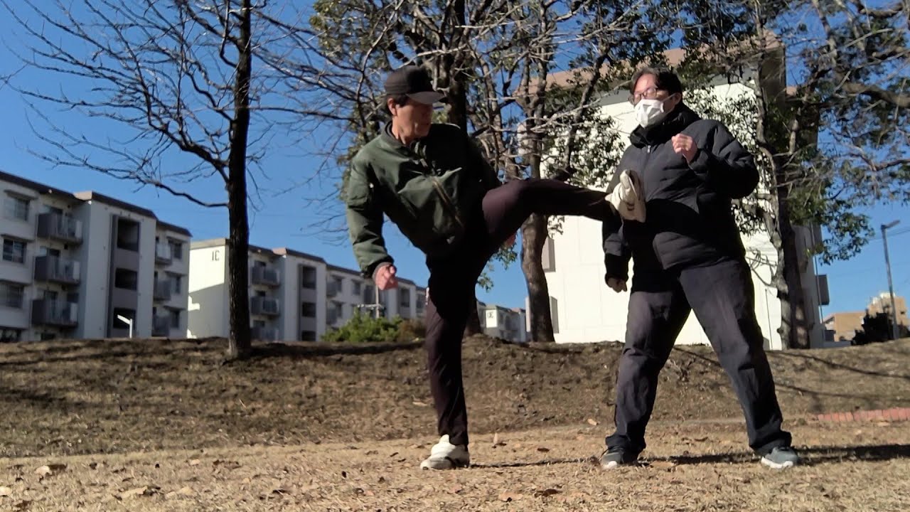 空手・拳法の稽古　221　　― 続・三角横蹴り・応用   　Karate & Kungfu step by step training　　Application of Triangle Kick 2