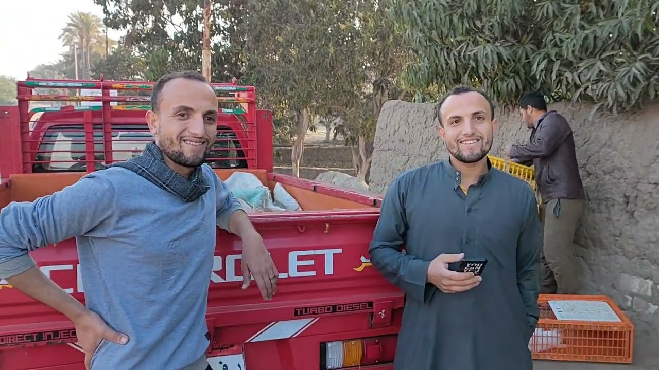 تسويق الأرنب وكلنا أيد واحدة