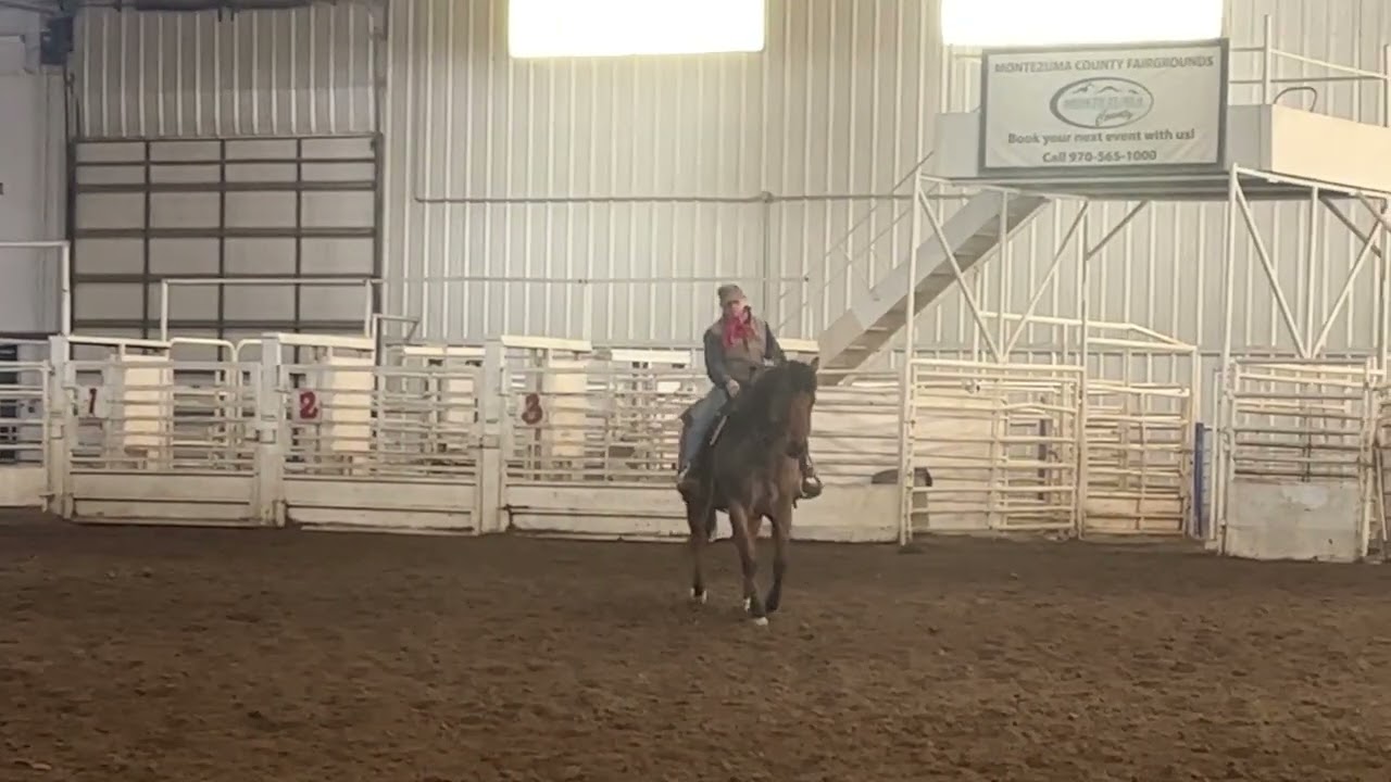 Offering my Experience for Private Riding Lessons.