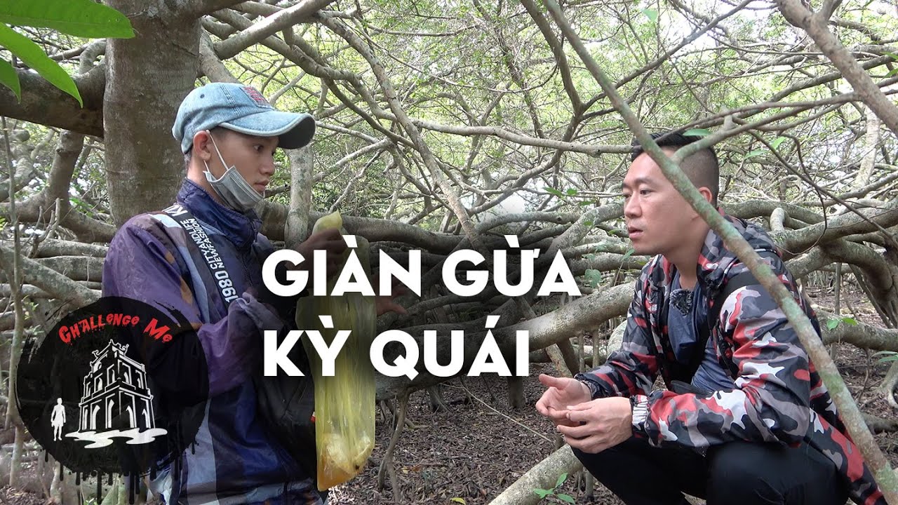 Giàn Gừa trăm tuổi linh thiêng ở Cần Thơ - Cuộc Sống Miền Tây
