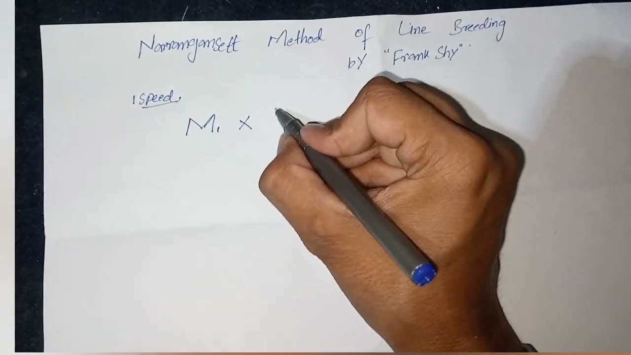 How to do line breeding | Narragansett Method of Line Breeding by 