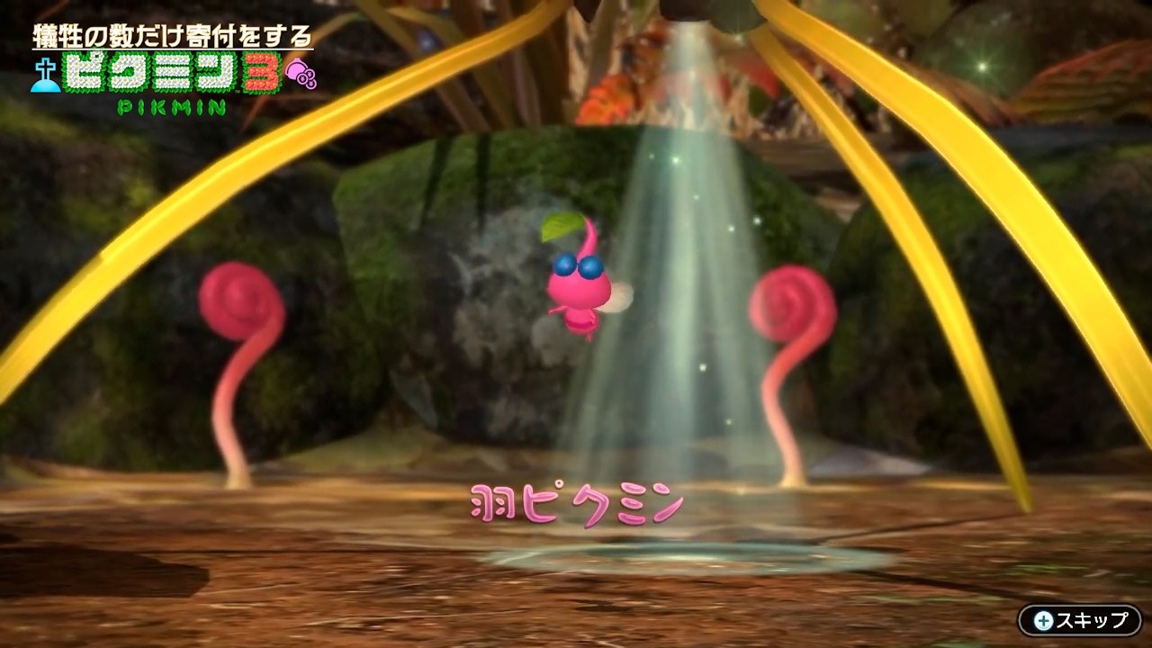 この子可愛いよね【犠牲の数寄付するピクミン3デラックス実況】#12