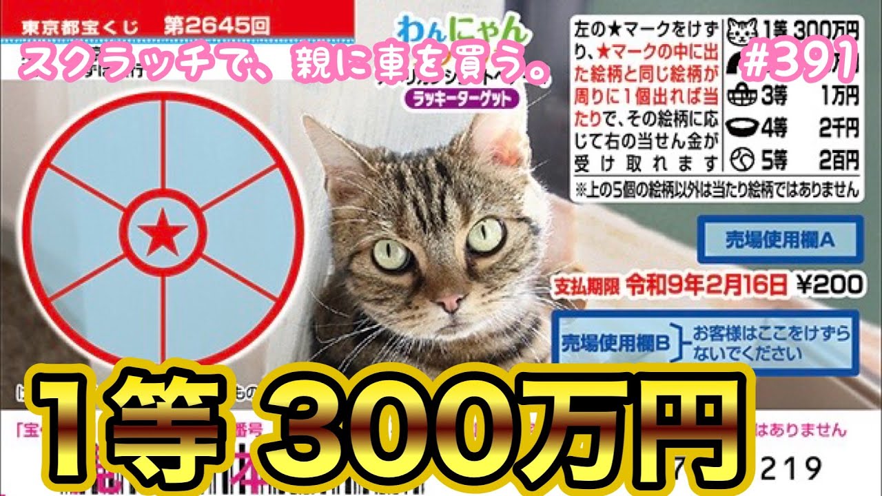 【新作!!】【わんにゃんスクラッチ アメリカンショートヘアー4 ラッキーターゲット】1等300万円目指して10枚セットで初挑戦！！【宝くじ】