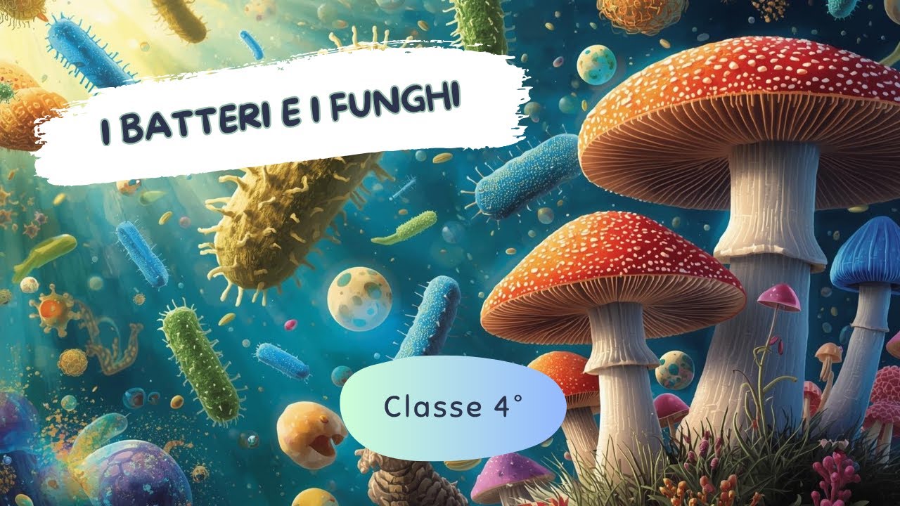 I batteri e i funghi  - Scuola Primaria - Classe 4° || Scienze
