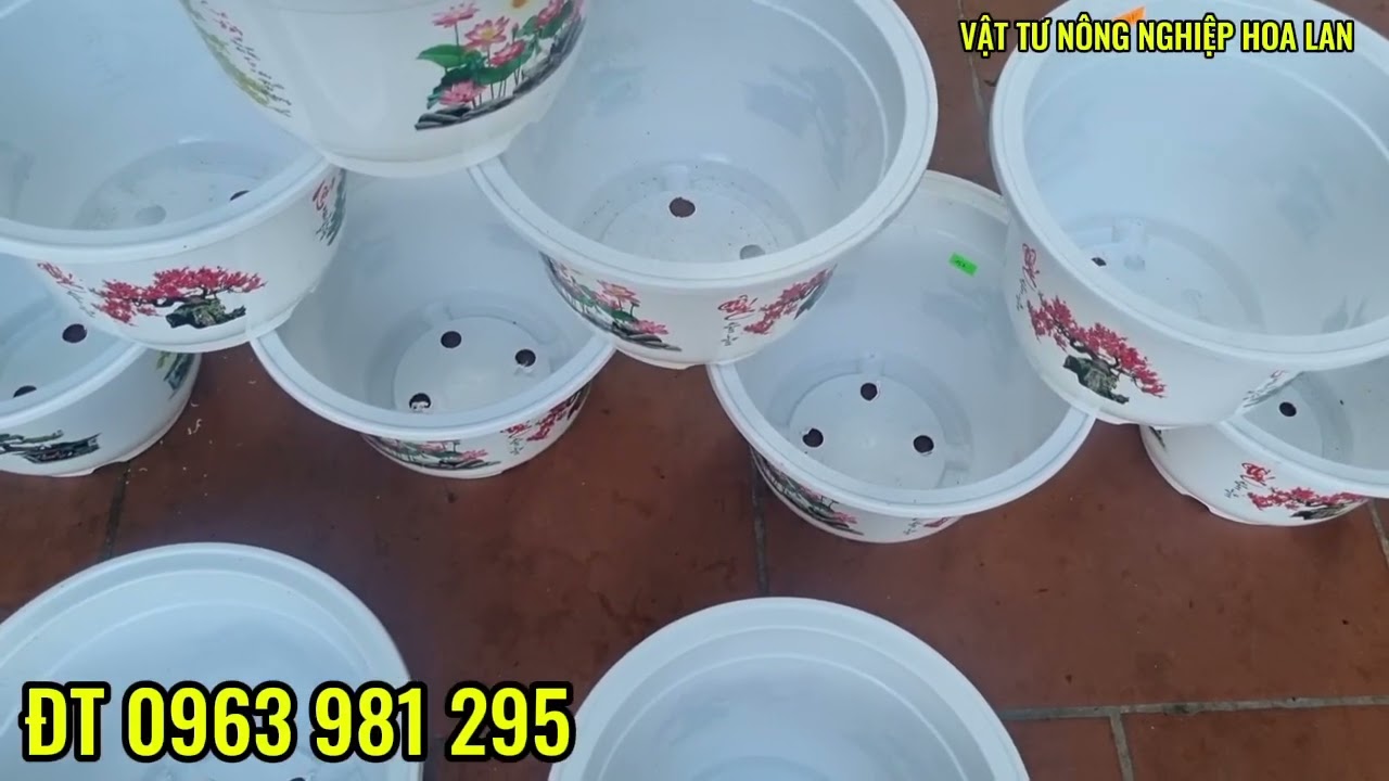 XẢ KHO LÔ 10 CHẬU A330 HOA VĂN BỐN MÙA CHỈ 150K #chậunhựaA330