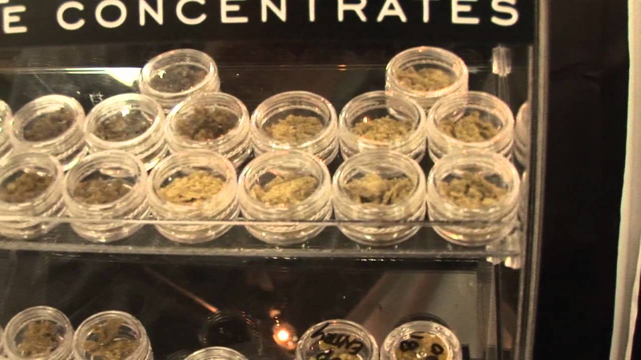 The HIGH TIMES Medical Cannabis Cup Returns to the Bay Area