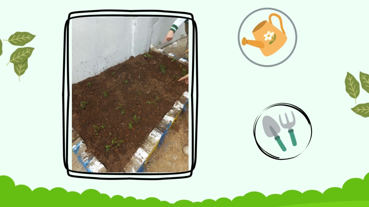 Hobby Garden
