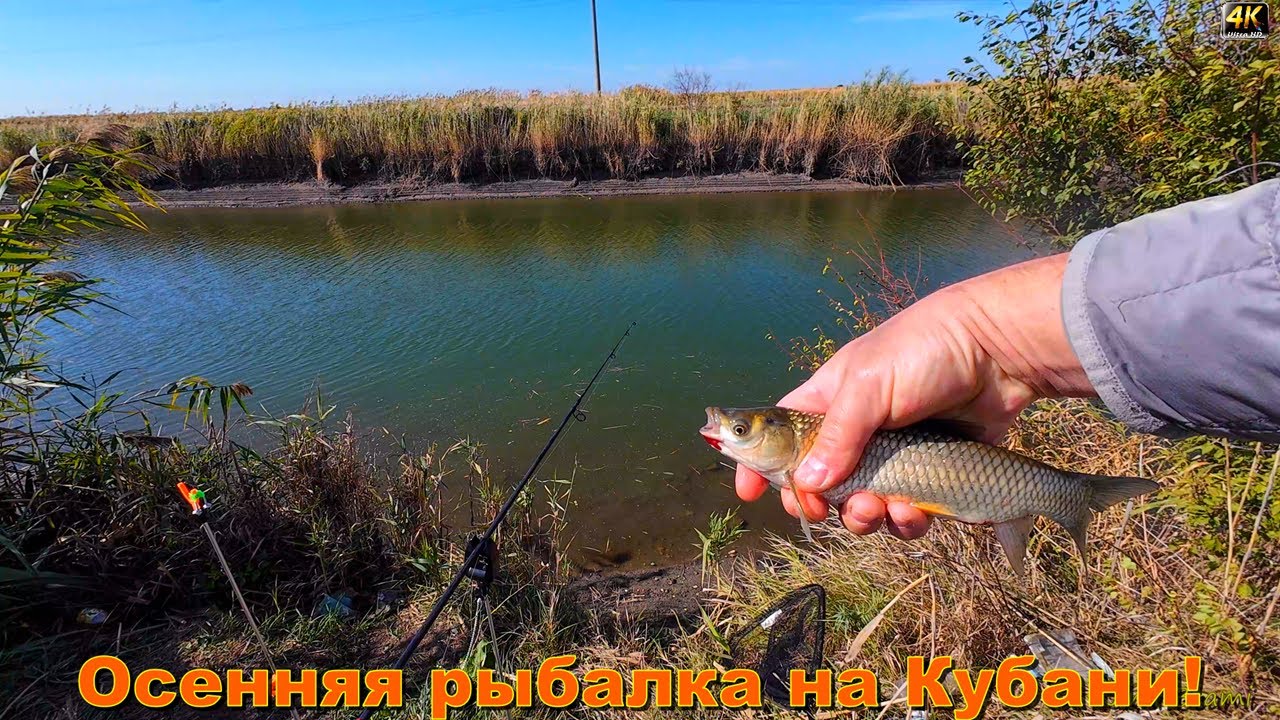 Осенняя рыбалка на Кубани! Станица Староджерелиевская!
