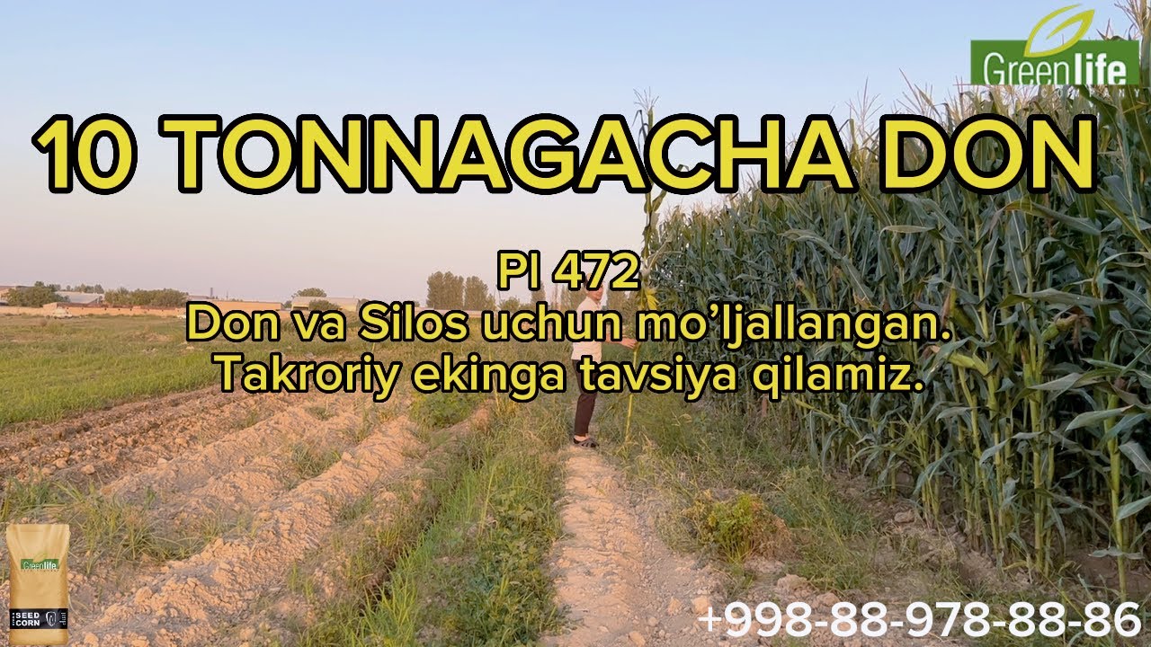 10 TONNA TAKRORIYDA DON UCHUN 70 TONNA SILOS UCHUN KAM SUV ICHADIGAN MAKKA