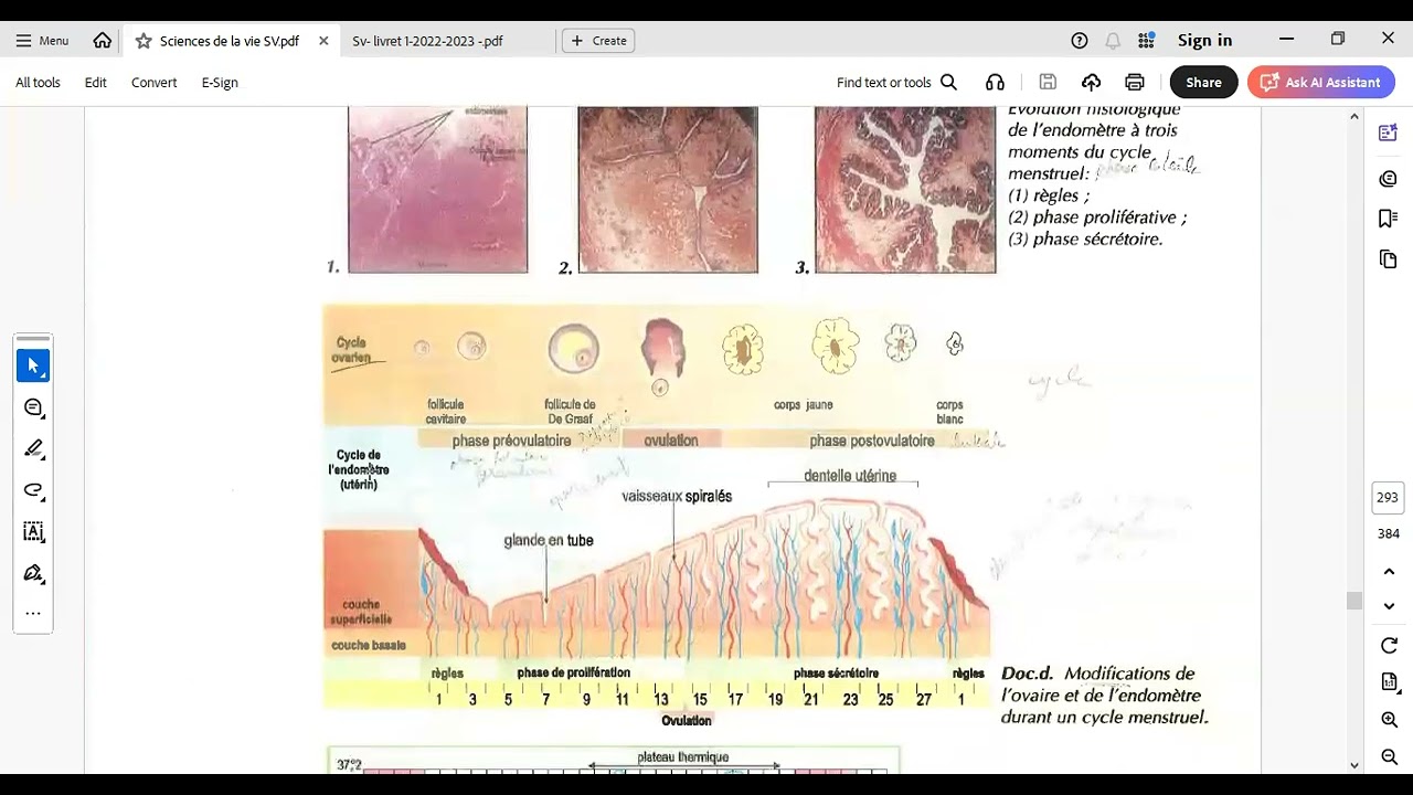 SV Biologie Chapitre 15 doc 1 les cycles sexuels
