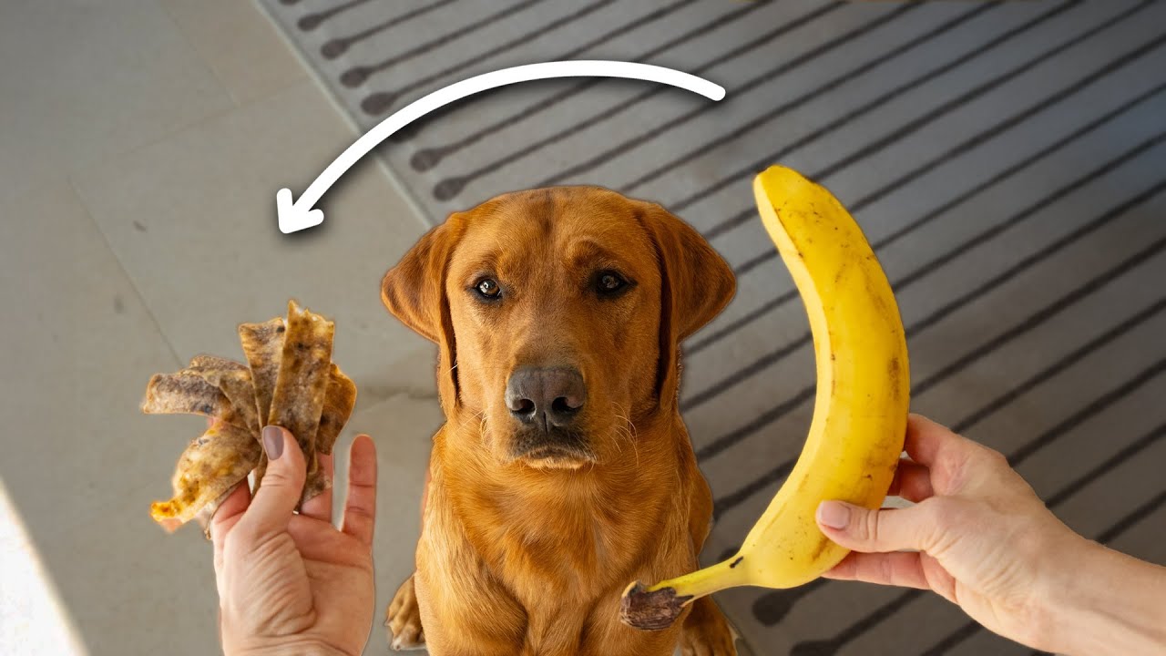 Bananen-Stripes für Hunde - Leckerer & schneller DIY-Snack
