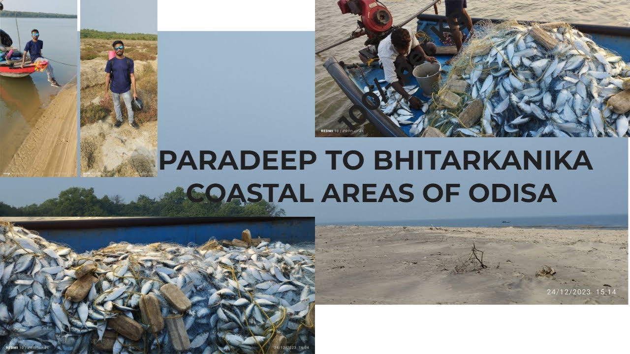 Exploring the Odisha Coast: Paradeep to Bhitarkanika Trek