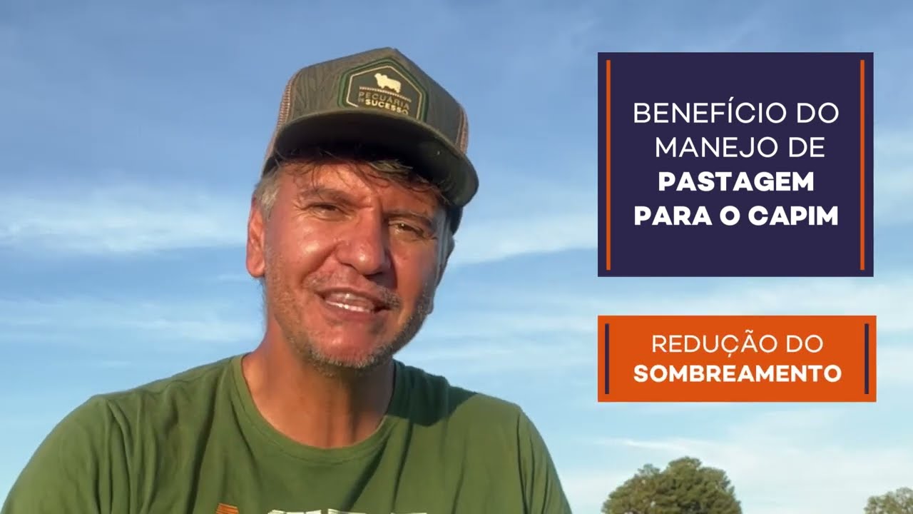 Benef&iacute;cio do Manejo de Pastagem para o capim. #pecuaria #pastagens #agropecuaria