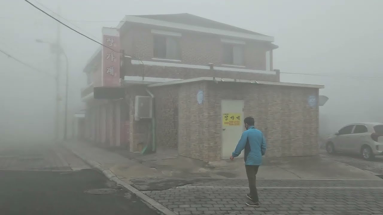 🌫안개🌫 짙은 일요일 아침 태백 통리대로 (여러분 행복한 휴일 보내세요)