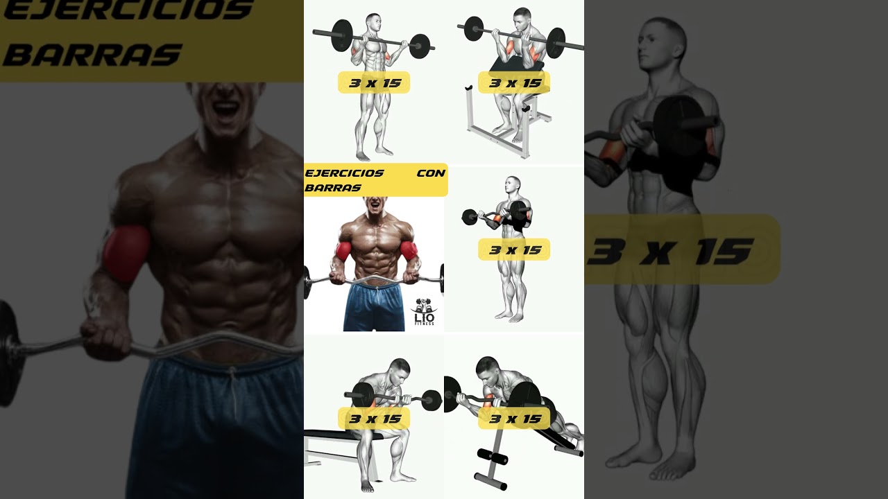 LOS MEJORES #EJERCICIOS PARA #BICEPS CON BARRA | #gym #gymworkout