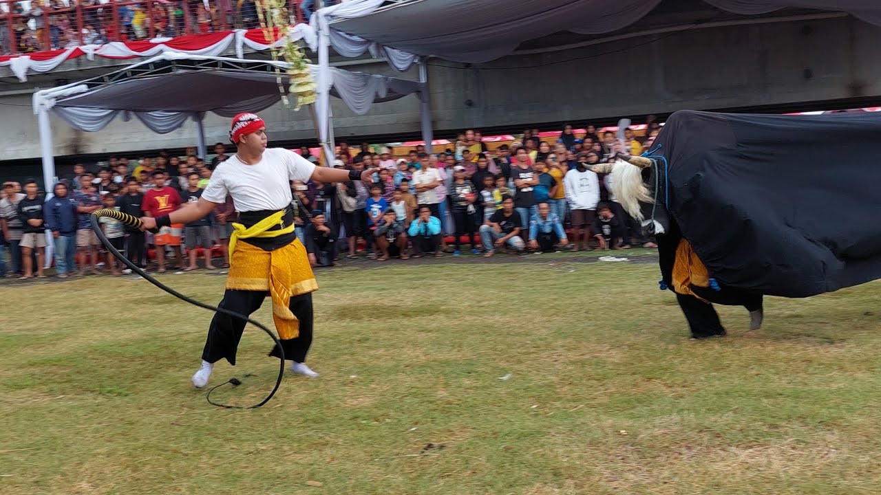 Bantengan Ngamuk Putro Taruno Satrio Lintang Live Rejoto Mojokerto