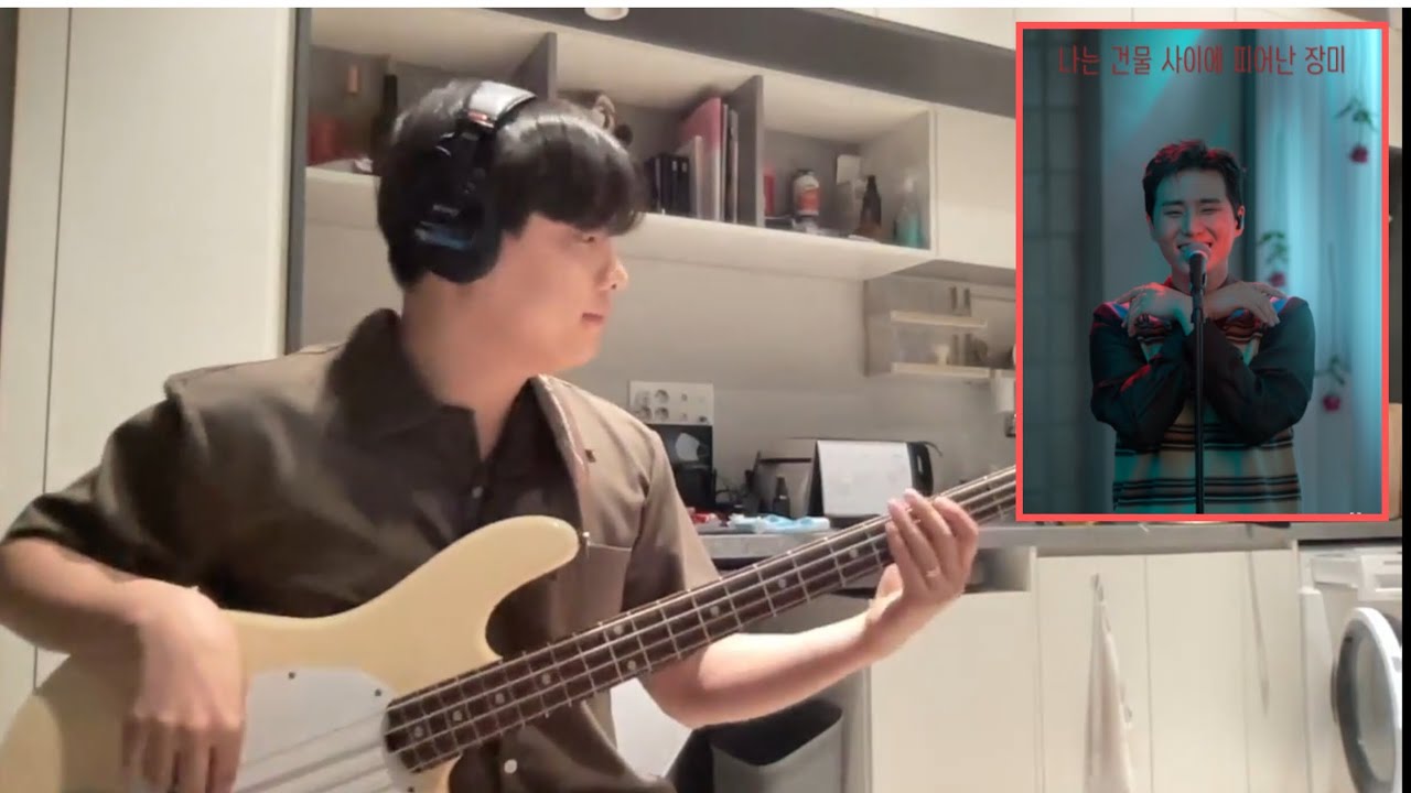 Young K (DAY6)  - 건물 사이에 피어난 장미 (Rose Blossom) Bass Cover [딩고 Ver.]