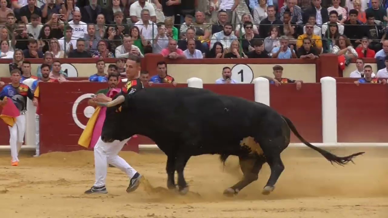 Valladolid   Camp  Mundial de recortadores