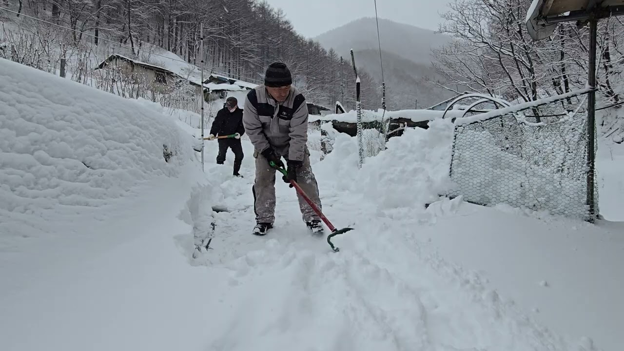 50센치 눈폭탄 오늘 디졌따 바람에 날린곳은 1미터 ㄷㄷ