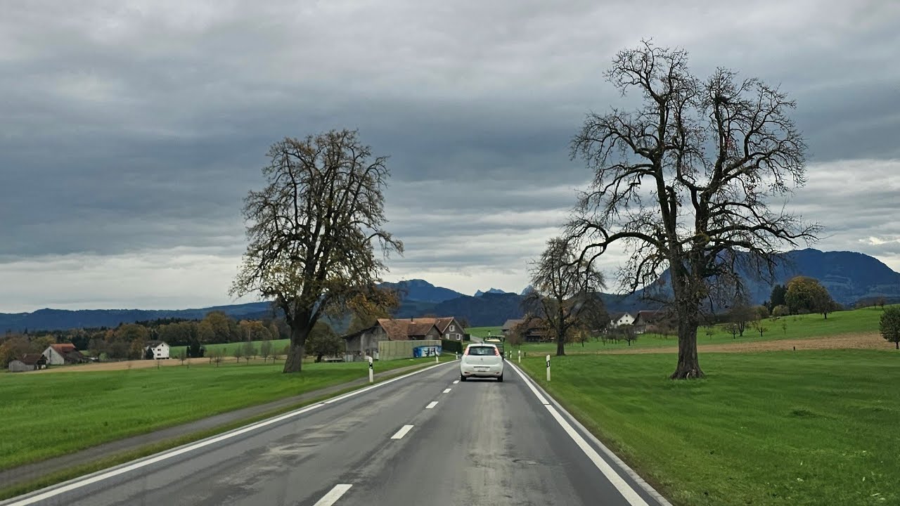 Saturday Road Trip