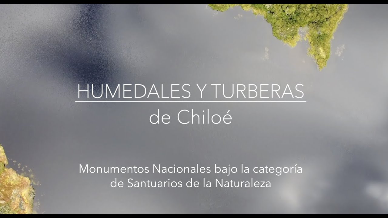 Humedales y turberas de Chilo&eacute; - P&uacute;lpito - Chile