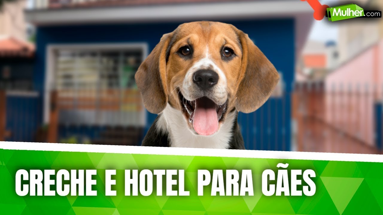 Creche e hotel para c&atilde;es